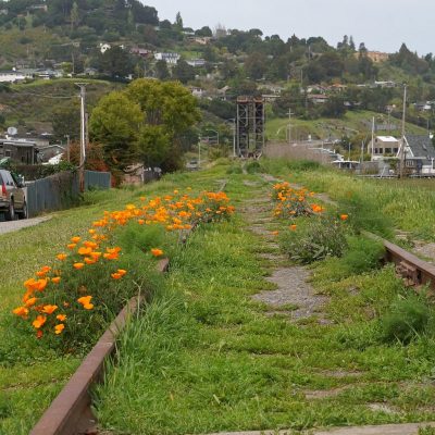 north-south greenway southern railway tracks