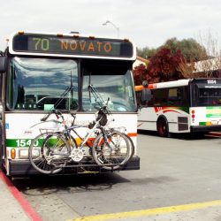 bus transit bus transit