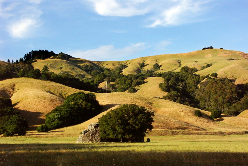 Marin Hills