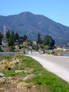 TAM open spaces project, bicyclist and path