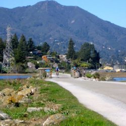 open-space TAM open spaces project, bicyclist and path
