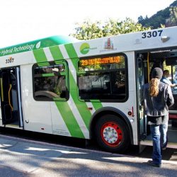 fairfax bus stop